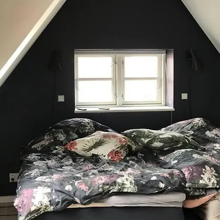 Villa Smukt, Sjaelfuldt Og Charmerende Hus Midt I Odense. Odense