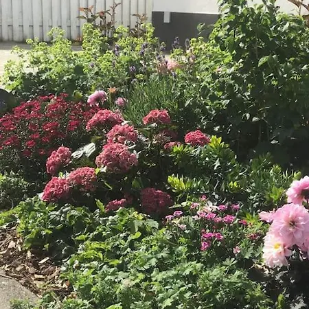 Smukt, Sjaelfuldt Og Charmerende Hus Midt I Odense. Βίλα Οντένσε