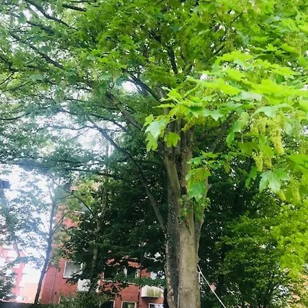 Smukt, Sjaelfuldt Og Charmerende Hus Midt I Odense. Villa