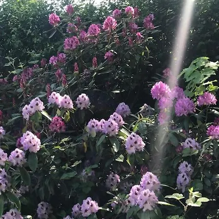 Βίλα Smukt, Sjaelfuldt Og Charmerende Hus Midt I Odense. Οντένσε